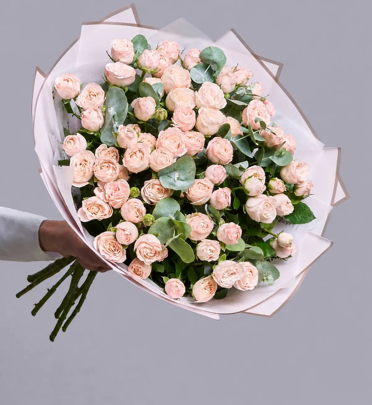 Champagne Spray Roses